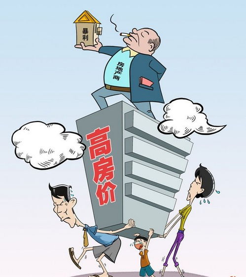 土地过热之下的疯狂