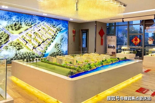 楼盘信息 房价 户型 周边配套,交通地图及动态