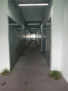 荷坳地铁口二楼精装修厂房价